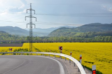 Asfalt yol arround yağlı tohum tecavüz alan arka planda elektrik sütun