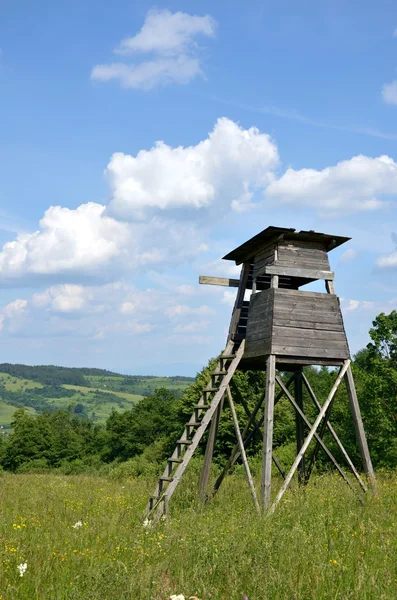 Wooden hunting tower on green meadow in sunshine — Stock Photo, Image