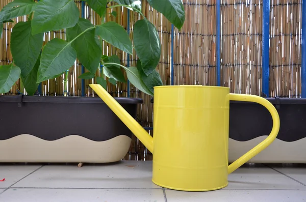 Sarı metal sulama olabilir biber bitkilerin çiçek kutularındaki yanındaki balkon