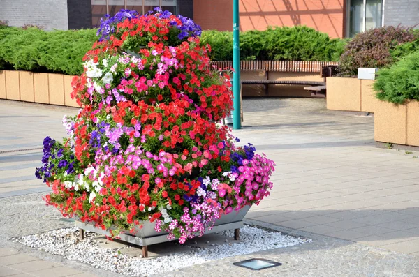 Yaz sokak dekorasyon City - particoloured çiçeklerden yapılmış piramit