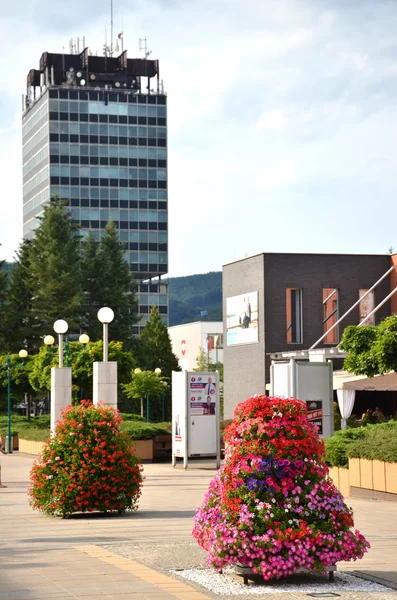 View at high Administrative building of state agencies from flower decorated town centre — Stock Photo, Image