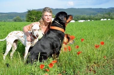 Genç kadın ile onun büyük köpekler yeşil çayır üzerinde poz veriyor 
