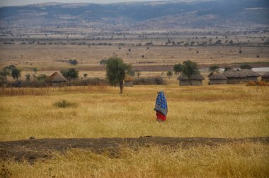 Masai Village 1 clipart