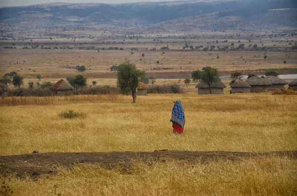 Masai Village 1 — Stock Photo, Image
