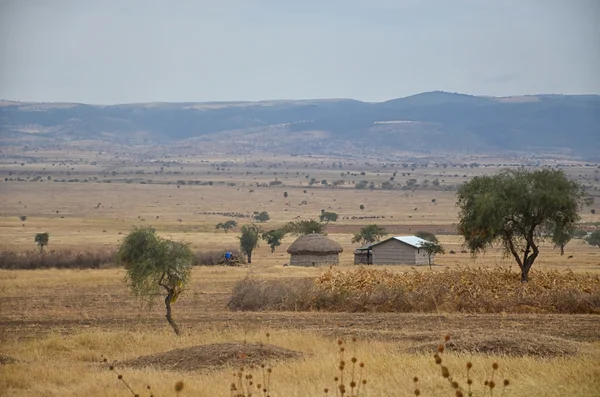 La aldea masai 4 — Foto de Stock