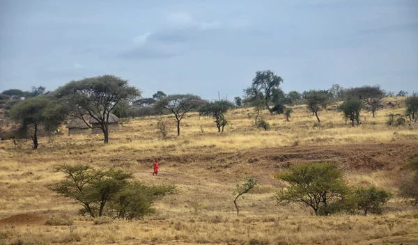 Massai-Dorf 2 — Stockfoto