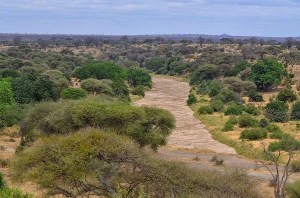 Paisaje africano — Foto de Stock