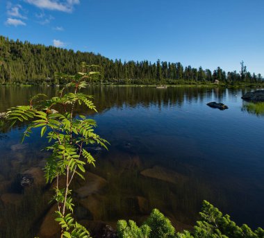 - Rusya. Krasnoyarsk bölgesinin güneyinde, Doğu Sayanlar. Doğal dağ Park Ergaki 'de gökkuşağı gölü (Türkçe Parmaklar' dan)