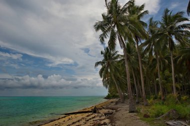 Malezya. Borneo 'nun doğu kıyısındaki birçok resif adasından birinin kıyısında..