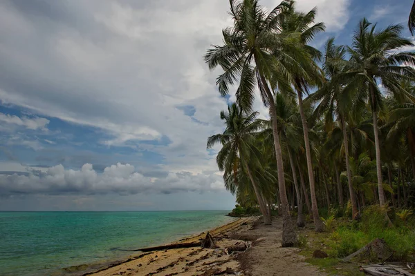 Malásia Costa Uma Das Muitas Ilhas Recifais Longo Costa Leste — Fotografia de Stock