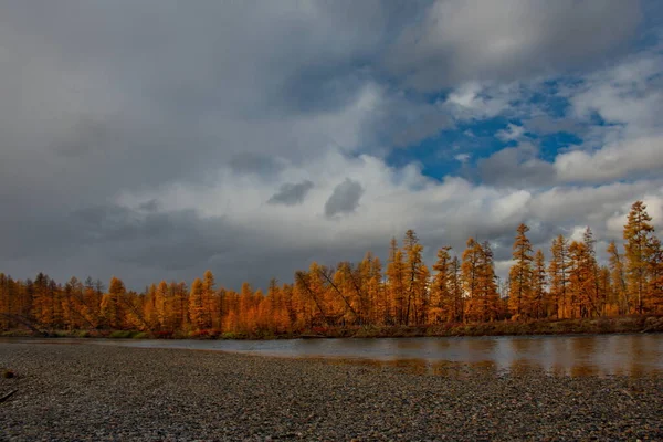 Rusia Lejano Oriente Región Magadán Afluentes Del Río Kolima — Foto de Stock