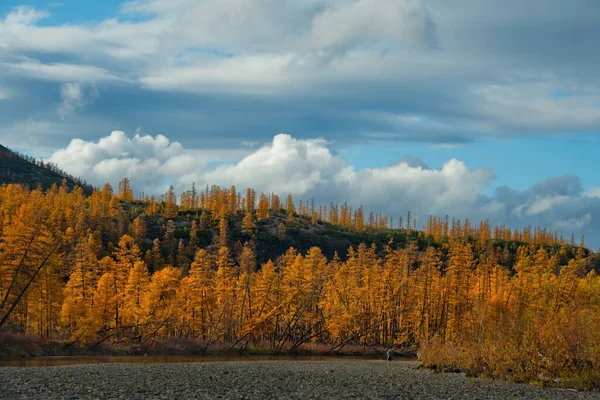 Rusya Uzak Doğu Magadan Bölgesi Kolyma Nehrinin Kolları — Stok fotoğraf