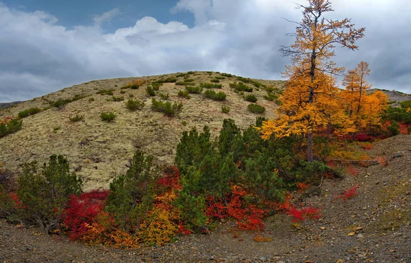 Rússia Extremo Oriente Região Magadan Passagens Montanha Bacia Hidrográfica Rio — Fotografia de Stock