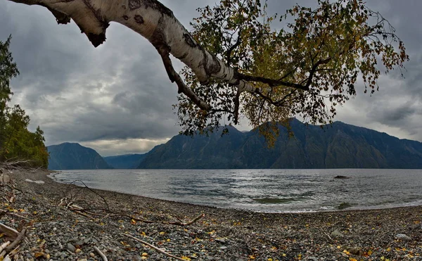 Ryssland Berg Altai Söder Sjön Teletskoye Nära Mynningen Floden Chulyshman — Stockfoto