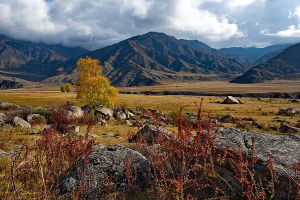 Russland Südwestsibirien Altai Herbstliche Farben Der Gebirgstäler Entlang Des Chui — Stockfoto