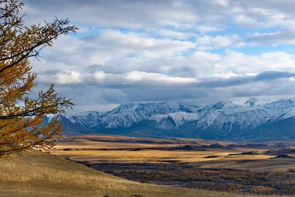 Rusya Altai Dağı Chui Yolu Boyunca Kuzey Chui Dağlarının Eteklerinde — Stok fotoğraf