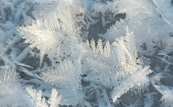 Russie Kuznetsk Alatau Absence Neige Gel Sévère Formé Beaux Cristaux — Photo