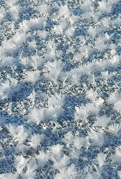 Rosja Kuźnieck Alatau Brak Śniegu Silny Mróz Tworzą Piękne Kryształy — Zdjęcie stockowe