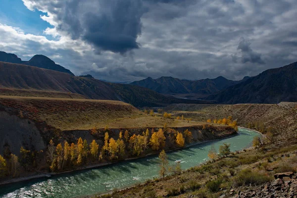 Oroszország Altai Hegy Katun Folyó Őszi Partja Chuya Jobb Partjának — Stock Fotó