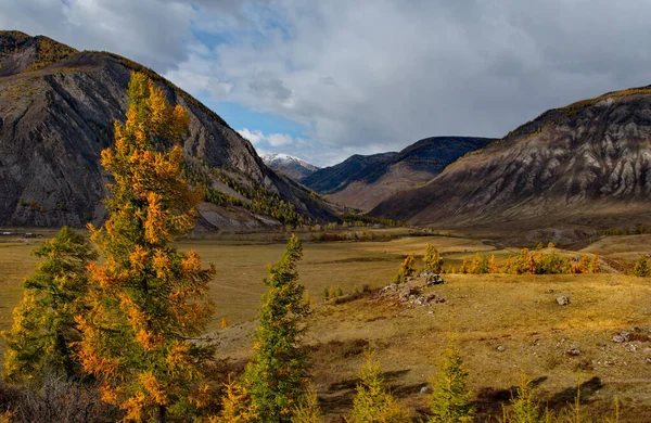Rosja Górski Altai Pustynne Stepy Rozległych Dolinach Rzeki Chuya Wzdłuż — Zdjęcie stockowe