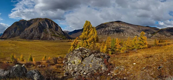 Rusia Mountain Altai Estepas Del Desierto Los Vastos Valles Del — Foto de Stock