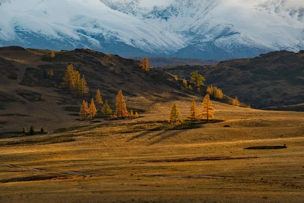 ロシアだ 西シベリアの南 アルタイ山 空井の中心部に位置する北空山脈の秋の夕日 — ストック写真