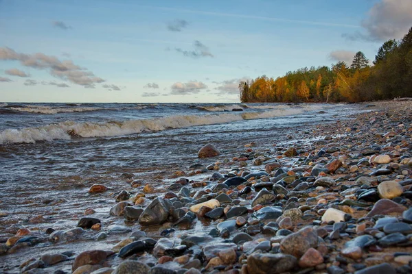 俄罗斯 卡累利阿共和国俄涅加湖北部靠近伊兹赫戈尔斯克市的沙滩和岩石海岸 — 图库照片
