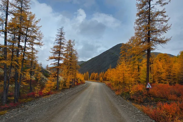 Ryssland Fjärran Östern Magadan Regionen Hösten Taiga Permafrost Längs Motorvägen — Stockfoto