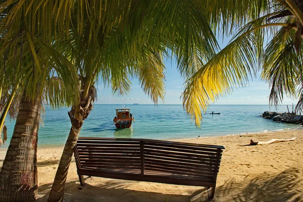 Malaysia East Coast Island Borneo View Sea Harbor Shade Coconut — Stock Photo, Image