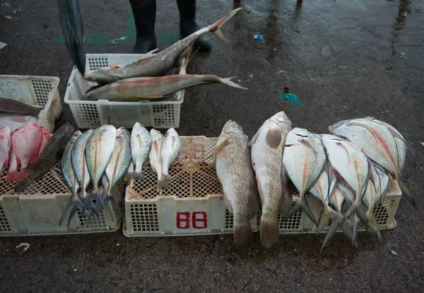 Malaysia Kom Igen Färsk Havsfisk Hyllorna Den Centrala Fiskmarknaden Som — Stockfoto