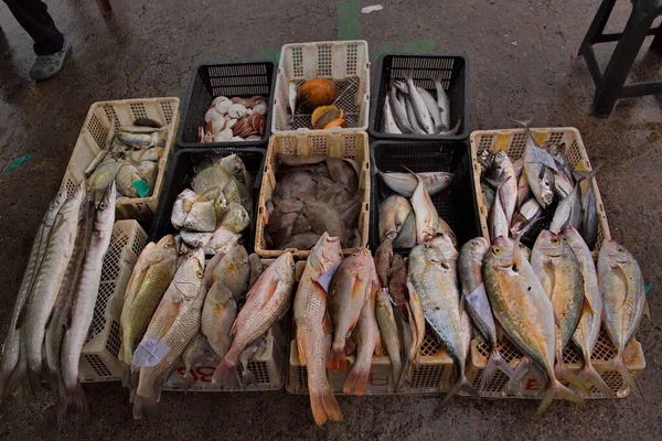 Malaysia Kom Igen Färsk Havsfisk Hyllorna Den Centrala Fiskmarknaden Som — Stockfoto