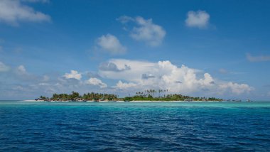 Malezya. Semporna kasabası yakınlarındaki Borneo adası yakınlarındaki sayısız resif adalarında hindistan cevizi palmiyeleri
