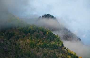 - Rusya. Altai Dağı. Sisler, Teletskoye Gölü 'nün güneyindeki Chulyshman Nehri vadisinde dağ tepelerinin etrafındaki yağmur bulutlarına dönüşüyor..