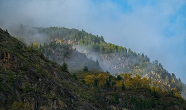 - Rusya. Altai Dağı. Sisler, Teletskoye Gölü 'nün güneyindeki Chulyshman Nehri vadisinde dağ tepelerinin etrafındaki yağmur bulutlarına dönüşüyor..
