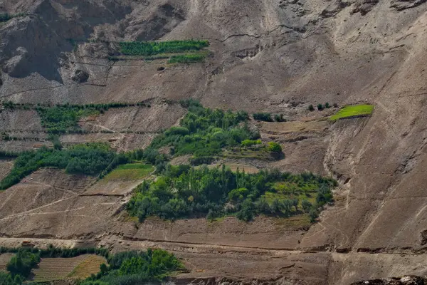Afganistan. Pamir otoyolu. Panj sınır nehrinin sol kıyısında ekilmiş taşlık arazi..