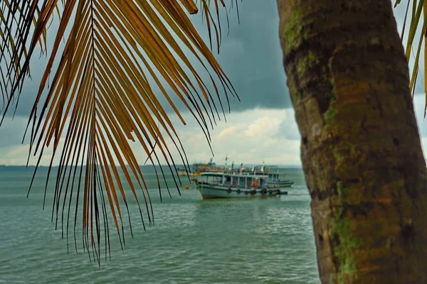 말레이시아 보르네 바다를 항해하는 관광객 보트의 배경에 야자나무 세계의 관광객들에게 — 스톡 사진