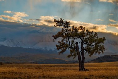 - Rusya. Altai dağlarında kasvetli gün batımı. Kurai bozkırının göbeğindeki Kuzey Chuya dağlarında sonbaharın sonlarına doğru..