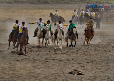 Kupchegen. - Rusya. 14 Mayıs 2021. Altai Ulusal Binicilik Oyunu Kok-Boru. Atlı oyuncular 35 kg ağırlığında kafası kesilmiş bir keçi leşi (ulah) şeklinde bir spor malzemesi için savaşa giriyorlar..