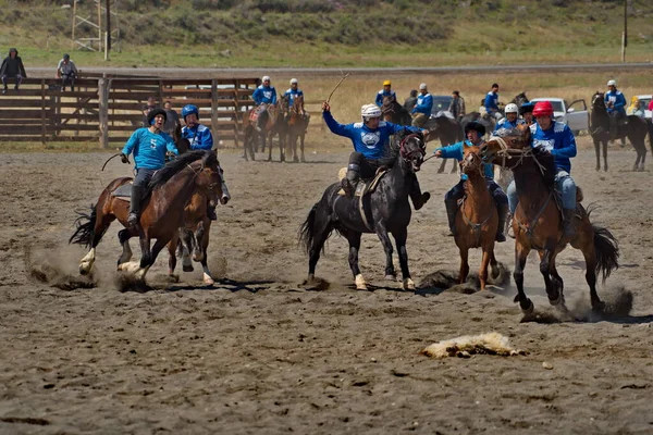 Kupchegen Rusia Mayo 2021 Altai National Equestrian Game Kok Boru — Foto de Stock