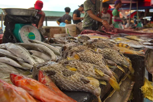 Semporna Malásia Ilha Bornéu Dezembro 2018 Uma Abundância Peixes Frutos — Fotografia de Stock