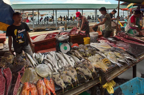 Semporna Malásia Ilha Bornéu Dezembro 2018 Uma Abundância Peixes Frutos — Fotografia de Stock