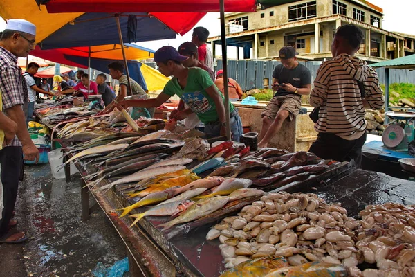 Semporna Malaysia Borneo Island December 2018 Abundance Sea Fish Seafood — Stock Photo, Image