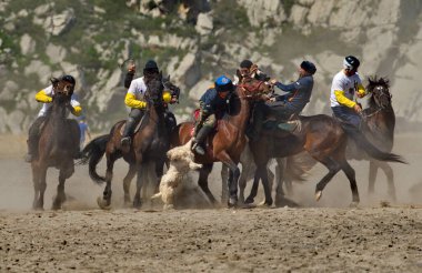 Kupchegen. - Rusya. 14 Mayıs 2021. Altai Ulusal Binicilik Oyunu Kok-Boru. Atın üstündeki bir oyuncu yerden 35 kg ağırlığında bir keçi leşi (ulah) şeklinde bir spor malzemesi almaya çalışır..
