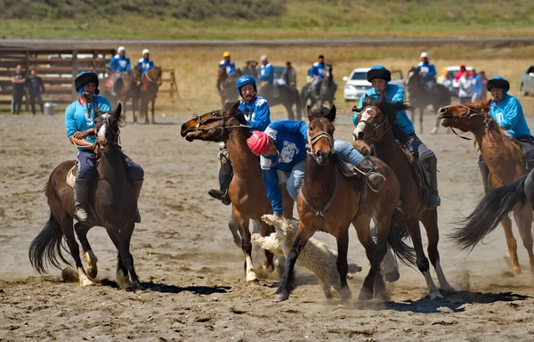 Kupchegen Rosja Maja 2021 Narodowa Gra Jeździecka Altai Kok Boru — Zdjęcie stockowe