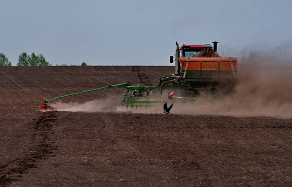 Tselinnoe. - Rusya. Altai Bölgesi. 16, 2021. Güçlü tekerlekli bir traktör. İzi sürülen bir ekin ekicisi. Toz bulutu içindeki mısır gevrekleri..