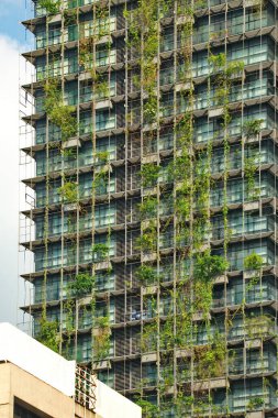 Asya. Malezya, Kuala Lumpur. Başkentin merkezindeki çok katlı bir bina. Dışarıdan tüm yükseklik boyunca yükselen canlı bitkilerle dekore edilmiş..