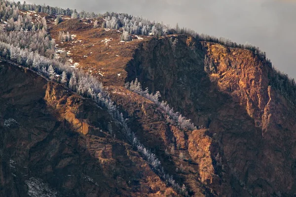 Ryssland Berg Altai Lärkträd Täckta Med Vårfrost Bergstopparna Kring Chulyshmans — Stockfoto