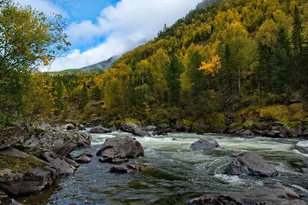 Rusia Sur Siberia Occidental Montañas Altai Principios Otoño Río Montaña — Foto de Stock