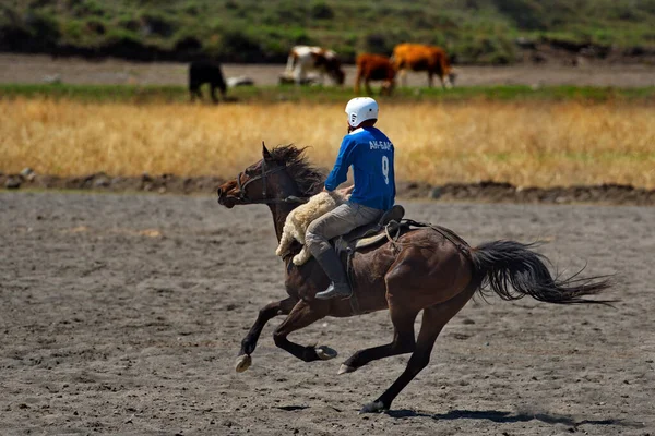 Kupchegen Rusia Mayo 2021 Altai National Equestrian Game Kok Boru — Foto de Stock