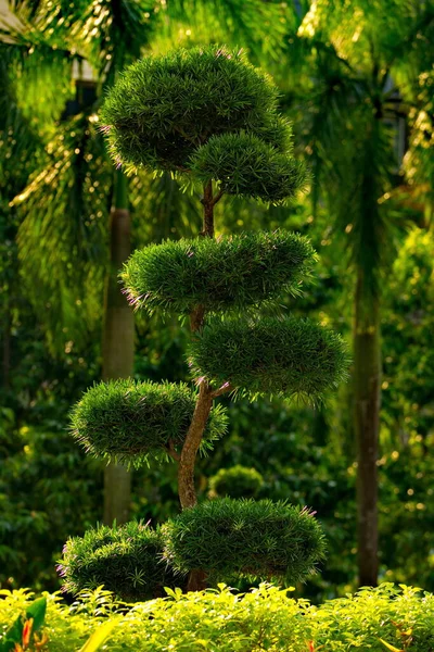 Kuala Lumpur Malaysia Dekorative Surreale Bäume Park Vor Dem Eingang — Stockfoto